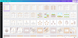 plantilla editable canva